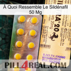 À Quoi Ressemble Le Sildénafil 50 Mg new06